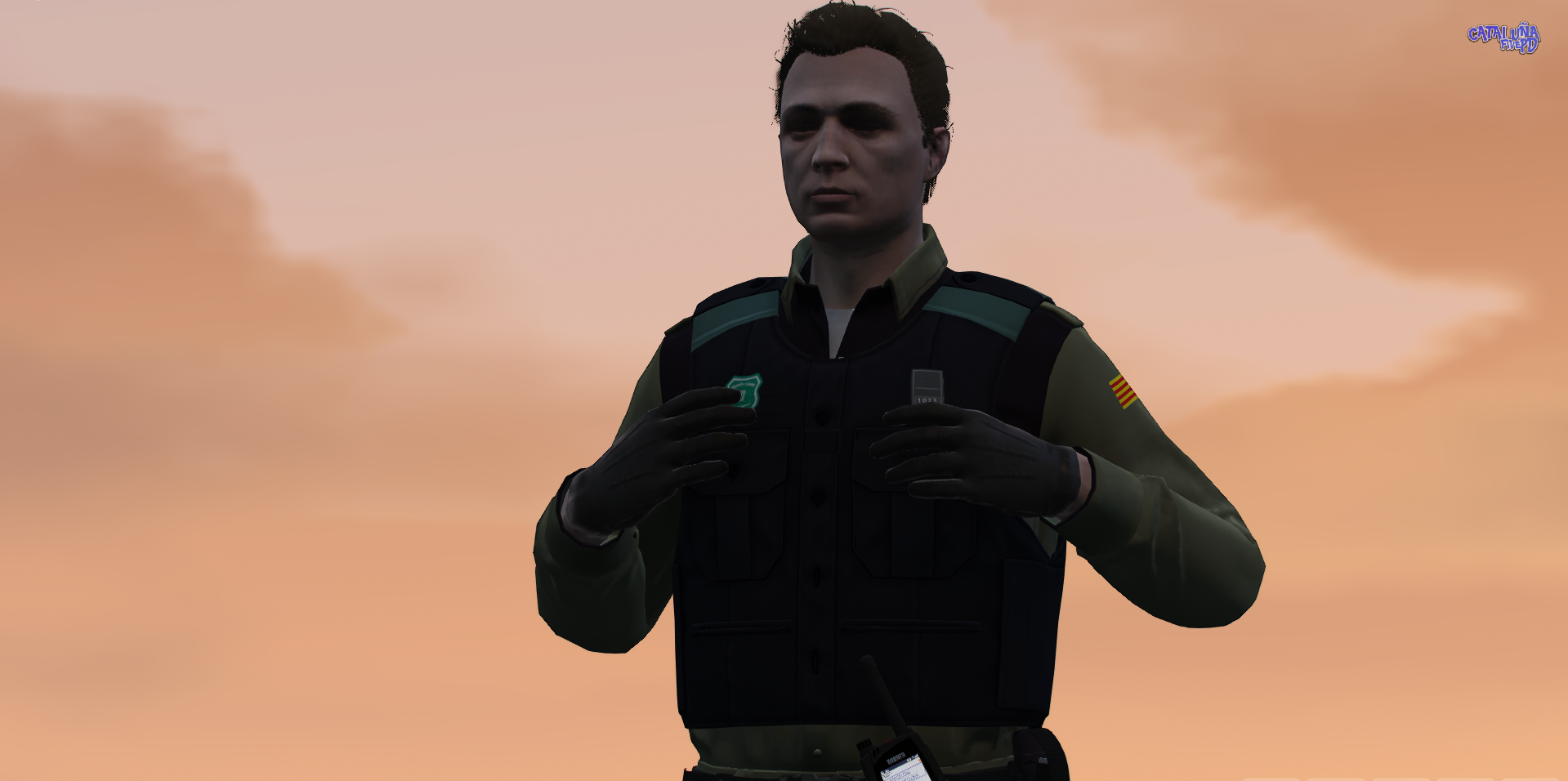 Pack Plus 26